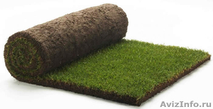 Готовый рулонный газон, цена, купить, Краснодар - Изображение #1, Объявление #686810