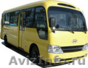 Продаём автобусы Дэу Daewoo  Хундай  Hyundai  Киа  Kia  в наличии Омске. Красно - Изображение #4, Объявление #848736