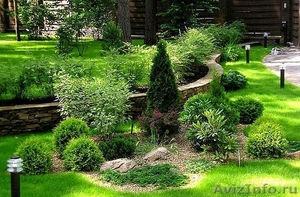 Посевной газон в краснодаре. Уход за садом и газоном - Изображение #2, Объявление #1057370
