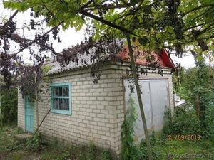 Одноэтажный дом 60 кв.м на участке 17 соток в п. Дефановка - Изображение #4, Объявление #1158437