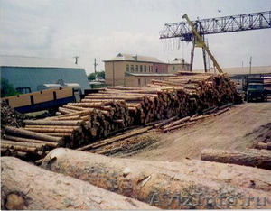 Деревообрабатывающий завод - Изображение #2, Объявление #1154032