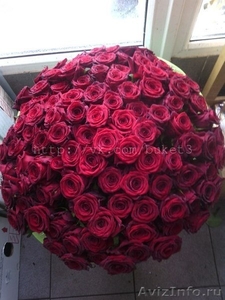 101 роза, букет роз, цветы, букет цветов - Изображение #1, Объявление #1174416