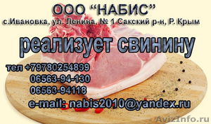 Свинина живым весом недорого - Изображение #1, Объявление #1179413
