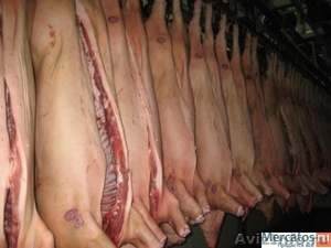 Недорогое мясо свинины - Изображение #2, Объявление #1179412