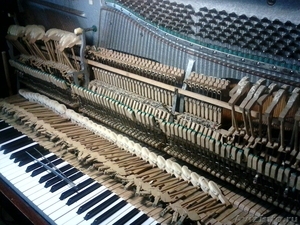 Настройка фортепиано ремонт Краснодарский край - Изображение #4, Объявление #1178766