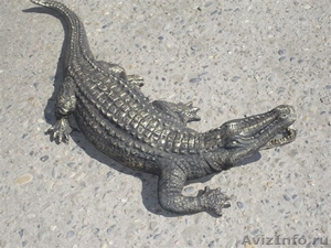крокодил бронзовый - Изображение #1, Объявление #1309670