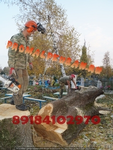 Спил деревьев Краснодар любой сложности Альпинист - Изображение #1, Объявление #1356975