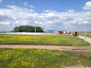 Продам земельный участок в Новознаменском - Изображение #2, Объявление #1451387