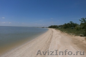 Продаю дом и земельный участок на берегу Азовского моря - Изображение #9, Объявление #1546662
