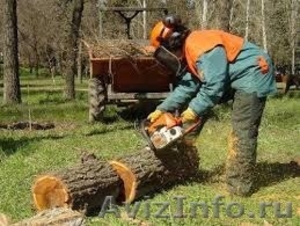 Спил деревьев Краснодар 8938-478-58-11  - Изображение #2, Объявление #1157403