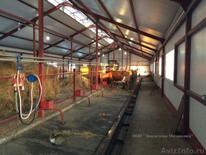 Строительство ферм животноводческих - Изображение #1, Объявление #1610326