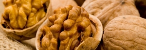 Саженцы грецкого ореха от производителя - Изображение #1, Объявление #1650877