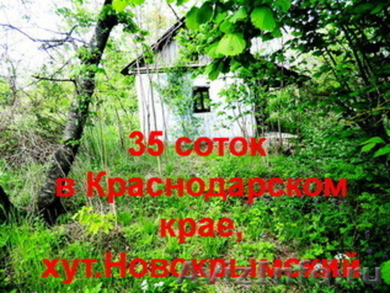 35сот.в Краснодарском край. х.Новокрымский, экологический район.Озеро.Рыбалка. - Изображение #2, Объявление #1351103